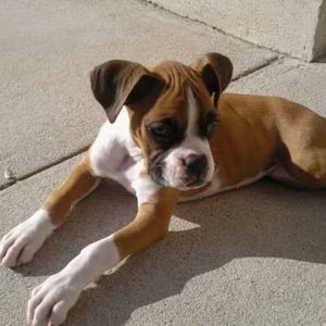 Meet your Posher, Robyn